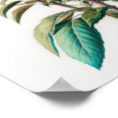 Rode Bee Balm Bloem Art Print Poster (Hoek)