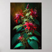 Rode Bee Balm Bloem Art Print Poster (Voorkant)