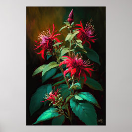 Rode Bee Balm Bloem Art Print Poster