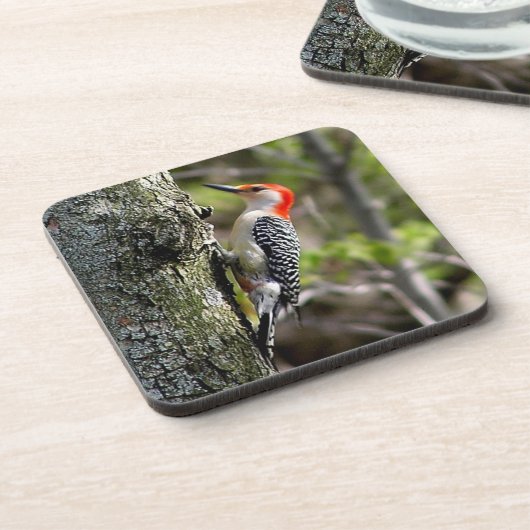 Rode Bellied Woodpecker Square Onderzetters (Linkerzijde)