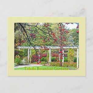 RODE BERRIES EN PERGOLA TOLEDO BOTANICAL GARDENS BRIEFKAART