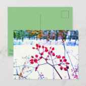 RODE BES WINTER ANSICHTKAART FEESTDAGENKAART (Voorkant / Achterkant)