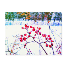 RODE BESJES WINTER ANSICHTKAART