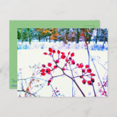 RODE BESJES WINTER ANSICHTKAART FEESTDAGENKAART (Voorkant / Achterkant)