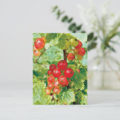 Rode bessen bessen Briefkaart (Staand voorkant)