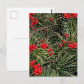 Rode Bessen Dennennaalden Kerst Briefkaart (Voorkant / Achterkant)