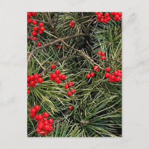 Rode Bessen Dennennaalden Kerst Briefkaart