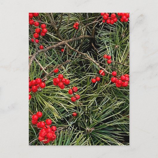 Rode Bessen Dennennaalden Kerst Briefkaart (Voorkant)