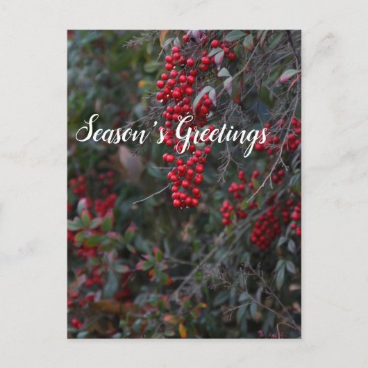 Rode bessen, Groeten van het seizoen Feestdagenkaart (Voorkant)