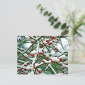 Rode bessen in de sneeuw (2025) briefkaart (Staand voorkant)