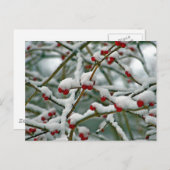 Rode Bessen in de Wintersneeuw Briefkaart (Voorkant / Achterkant)