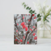 Rode bessen in ijskap briefkaart (Staand voorkant)