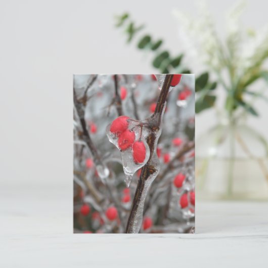 Rode bessen in ijskap briefkaart (Staand voorkant)