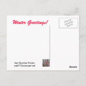 Rode bessen in ijskap briefkaart (Achterkant)