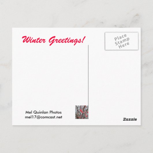 Rode bessen in ijskap briefkaart (Achterkant)