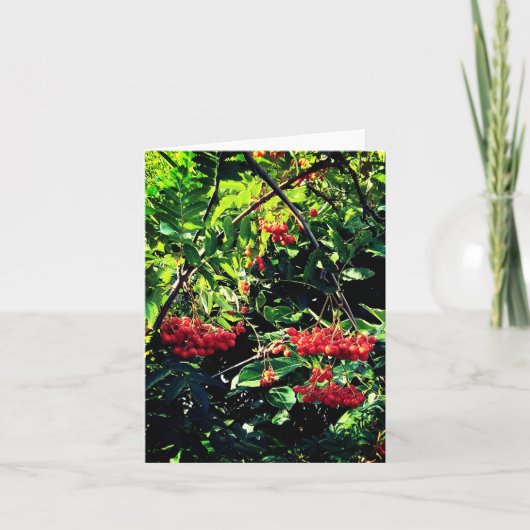 Rode bessen kaart (Voorkant)