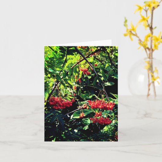 Rode bessen kaart (Gele Bloem)