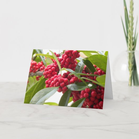 Rode bessen kerstkaart feestdagen kaart (Voorkant)