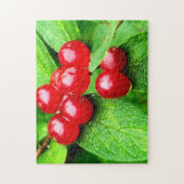 Rode bessen met regendruppels Natuur Legpuzzel (Verticaal)