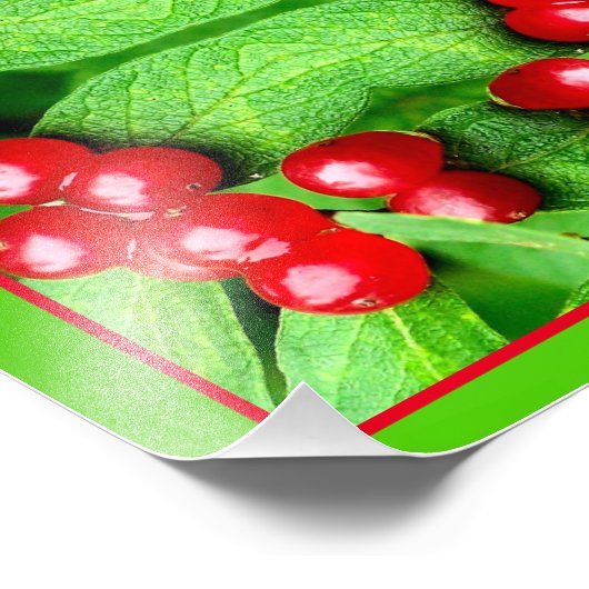 Rode bessen met regendruppels spiegelen Abstracte  Foto Afdruk (Hoek)