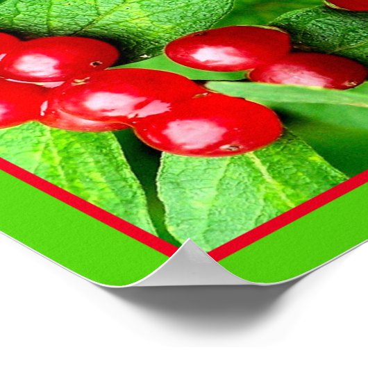 Rode bessen met regendruppels spiegelen Abstracte  Poster (Hoek)