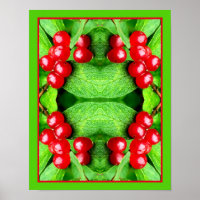 Rode bessen met regendruppels spiegelen Abstracte