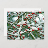 Rode bessen op sneeuw briefkaart (Voorkant / Achterkant)