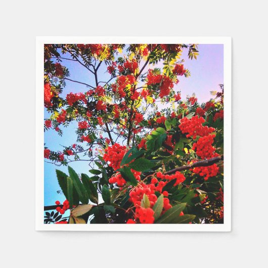 Rode bessen servet (Voorkant)