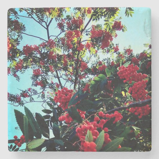 Rode bessen stenen onderzetter (Voorkant)