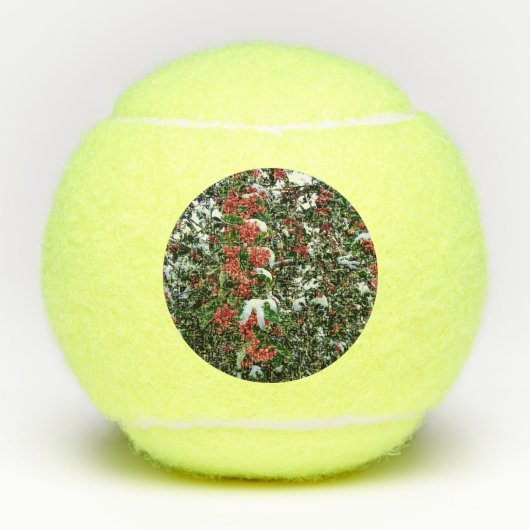 Rode bessen tennisballen (Voorkant)