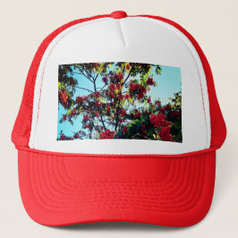 Rode bessen trucker pet