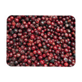 Rode bessen van de Himalaya Magneet (Horizontaal)