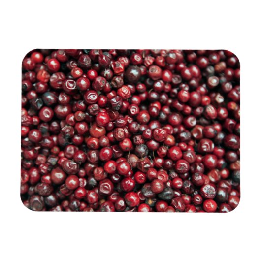 Rode bessen van de Himalaya Magneet (Horizontaal)