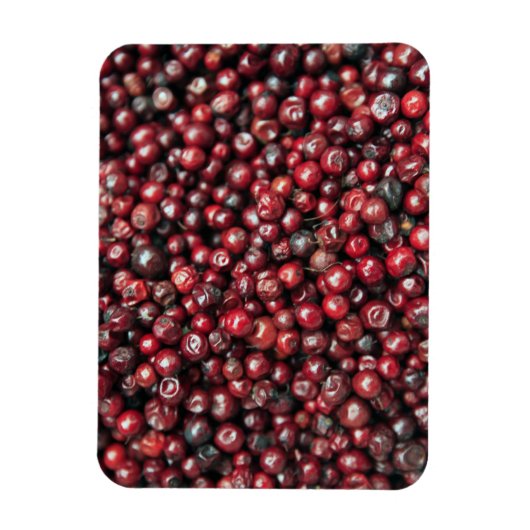 Rode bessen van de Himalaya Magneet (Verticaal)