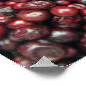 Rode bessen van de Himalaya Poster (Hoek)