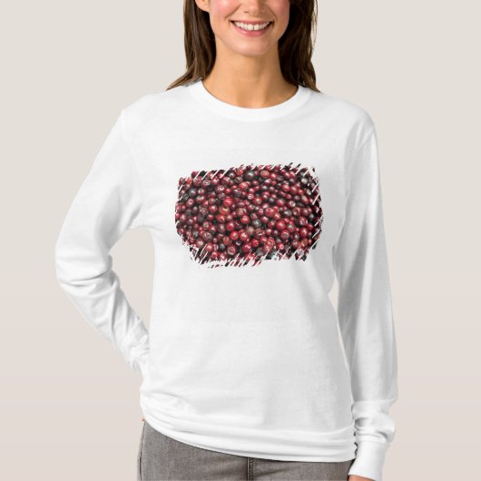 Rode bessen van de Himalaya T-shirt (Voorkant)