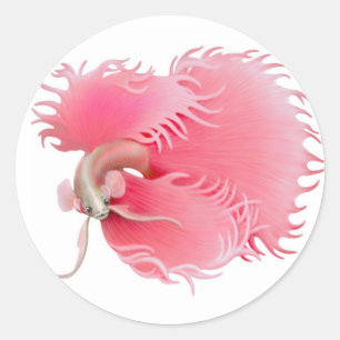 Rode Betta Splendens Vis Sticker