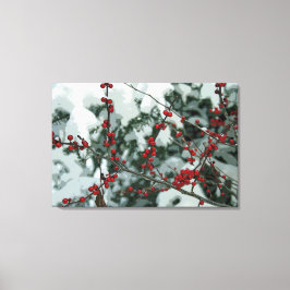 Rode Bevroren Bessen Winter Stretched Canvas Art