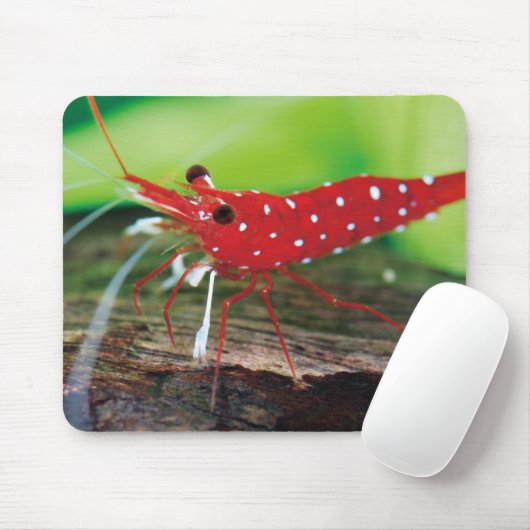 Rode bijengarnalen muismat (Met muis)