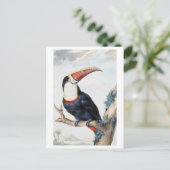 Rode-billed Toucan Illustration Briefkaart (Staand voorkant)