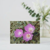 Rode bitterwortelbloemen briefkaart (Staand voorkant)