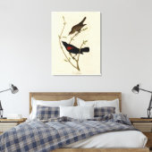 Rode Blackbird - Amerikaanse vogels van Audubon Canvas Afdruk (Insitu (Slaapkamer))