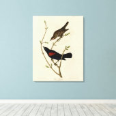 Rode Blackbird - Amerikaanse vogels van Audubon Canvas Afdruk (Insitu (Houten vloer))