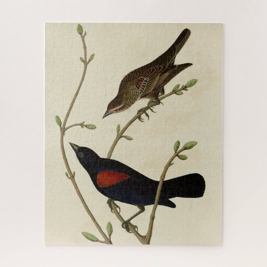 Rode Blackbird - Amerikaanse vogels van Audubon Legpuzzel (Verticaal)