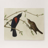 Rode Blackbird - Amerikaanse vogels van Audubon Legpuzzel (Horizontaal)