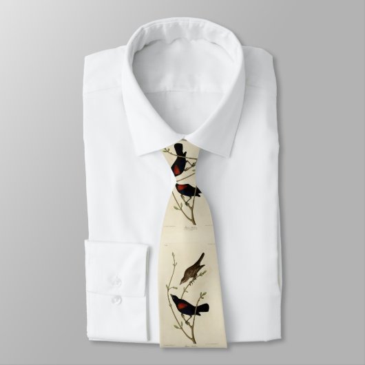 Rode Blackbird - Amerikaanse vogels van Audubon Stropdas (Gebonden)