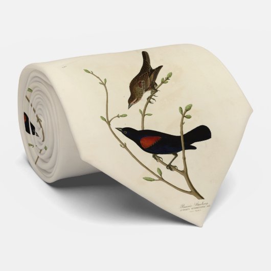 Rode Blackbird - Amerikaanse vogels van Audubon Stropdas (Opgerold)