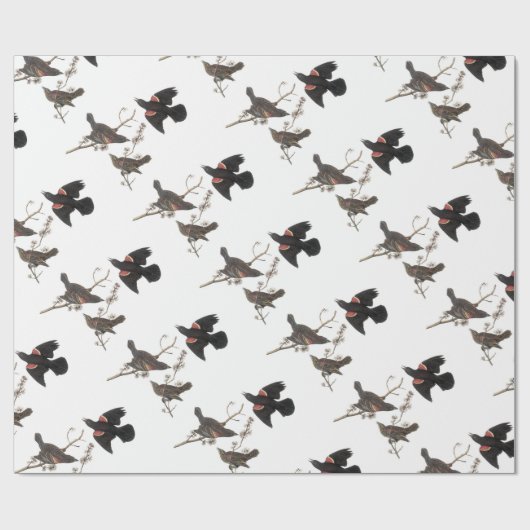 Rode Blackbird van Audubon Cadeaupapier (Vlak)