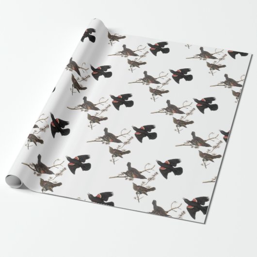 Rode Blackbird van Audubon Cadeaupapier (Uitgerold)