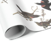Rode Blackbird van Audubon Cadeaupapier (Rol Hoek)